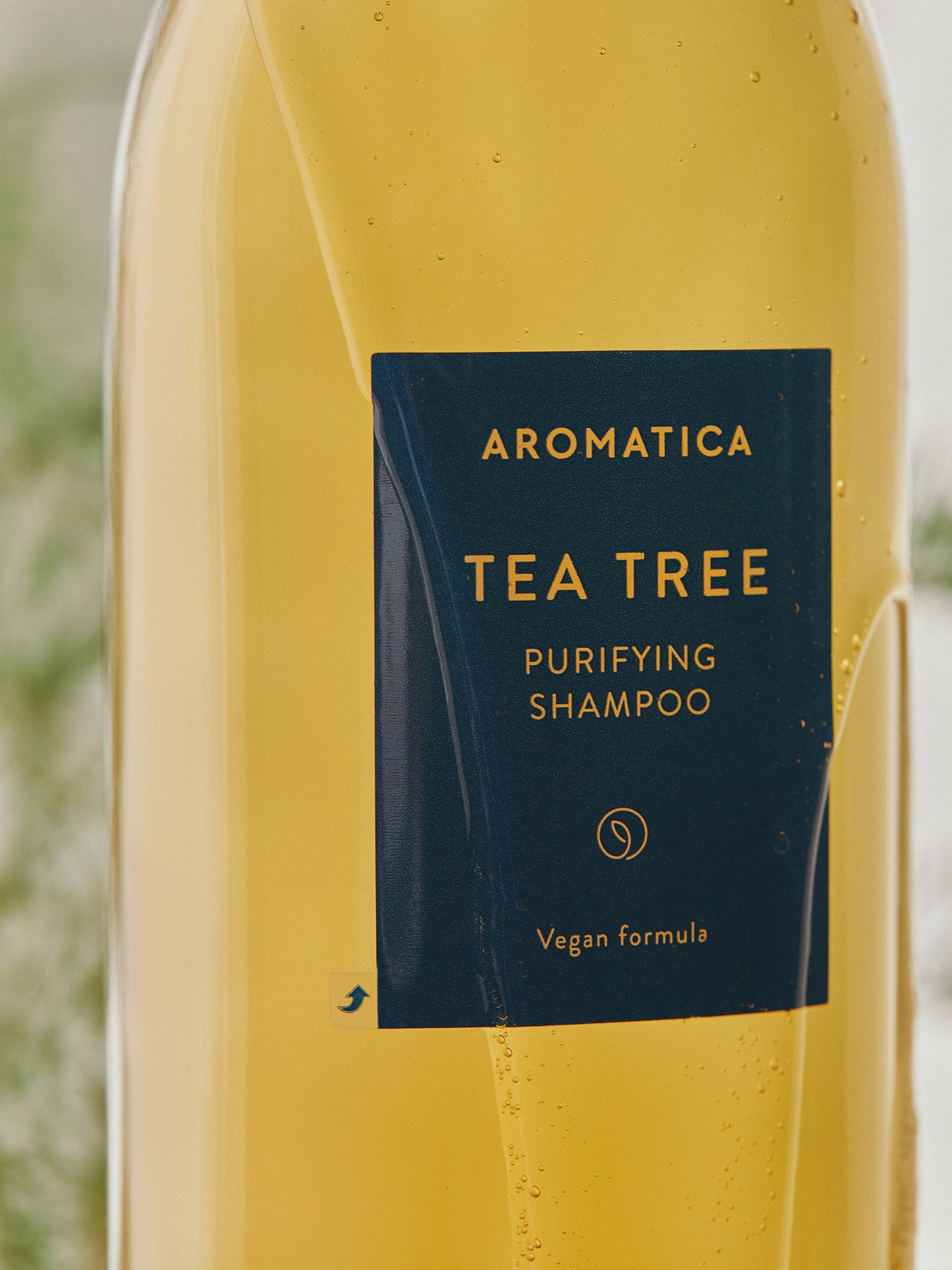 <tc>[Aromatica] Tea tree Purifying Shampoo</tc>