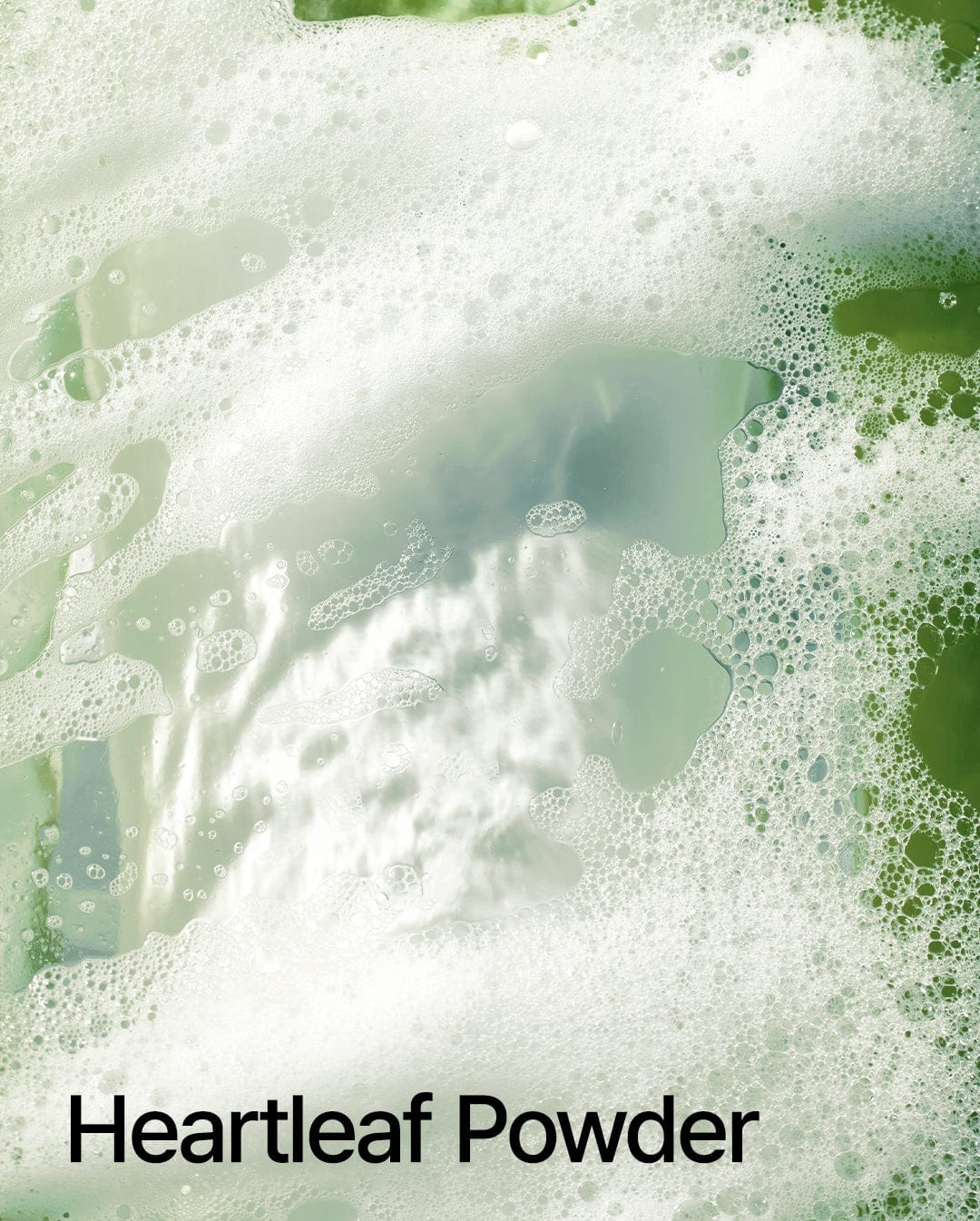 <tc>[Anua] Heartleaf Quercetinol Pore Deep Cleansing Foam</tc>